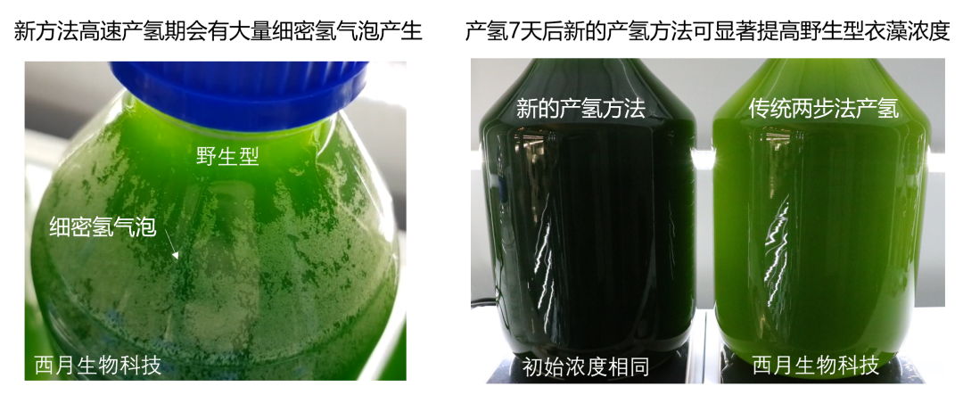 101311467568.png 640 (4).png