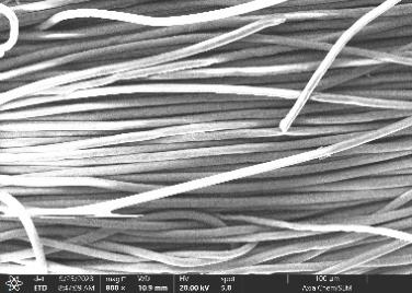 110035838643.png 图片9.png