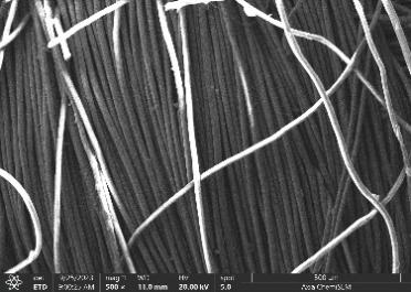 110044977807.png 图片10.png