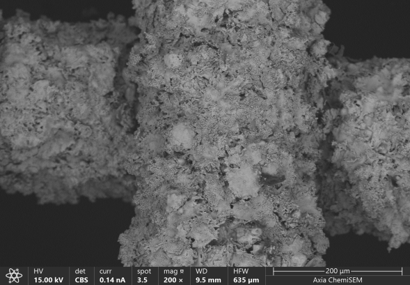 110259973686.png 图片3.png