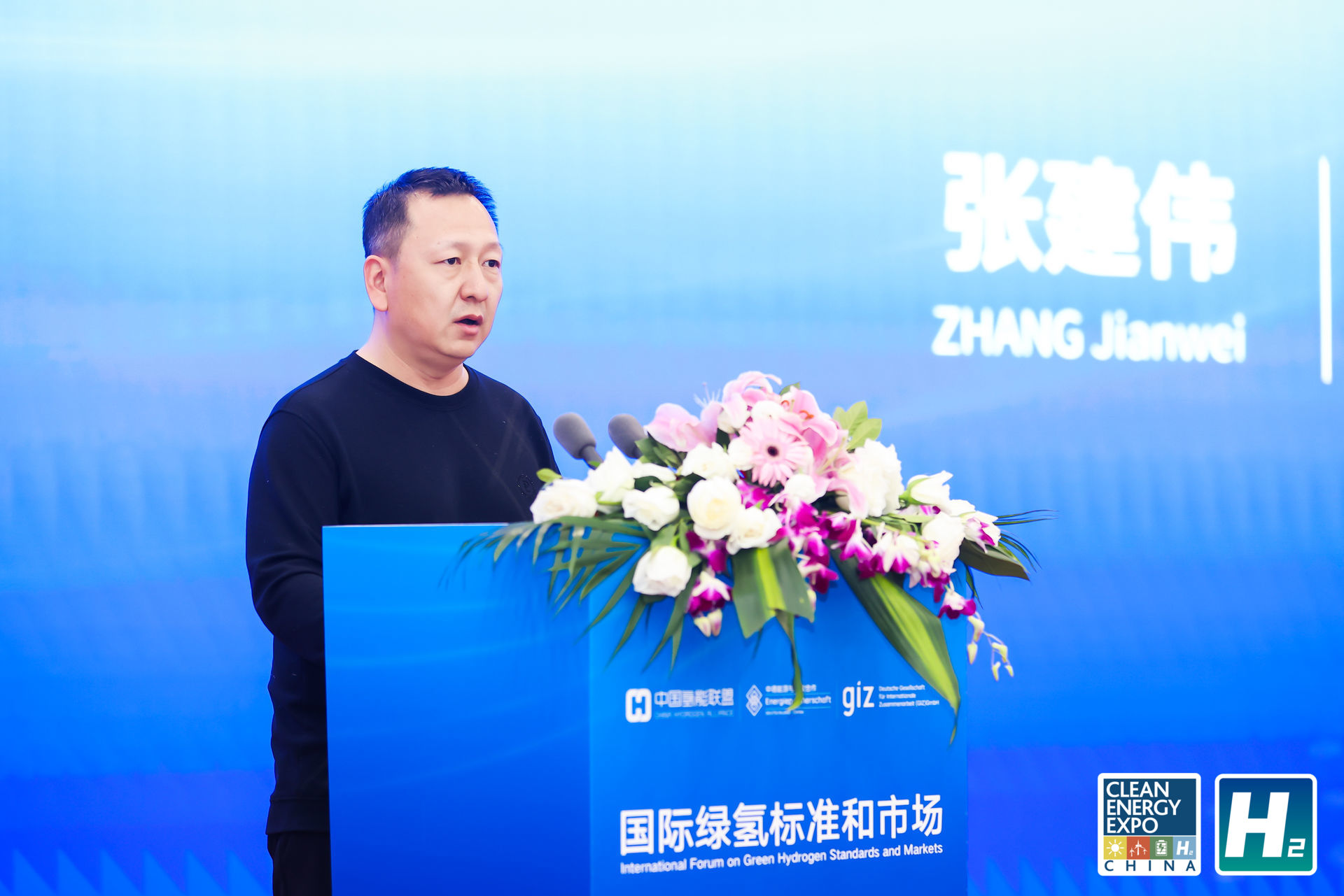 张建伟  国家能源局科技司副处长