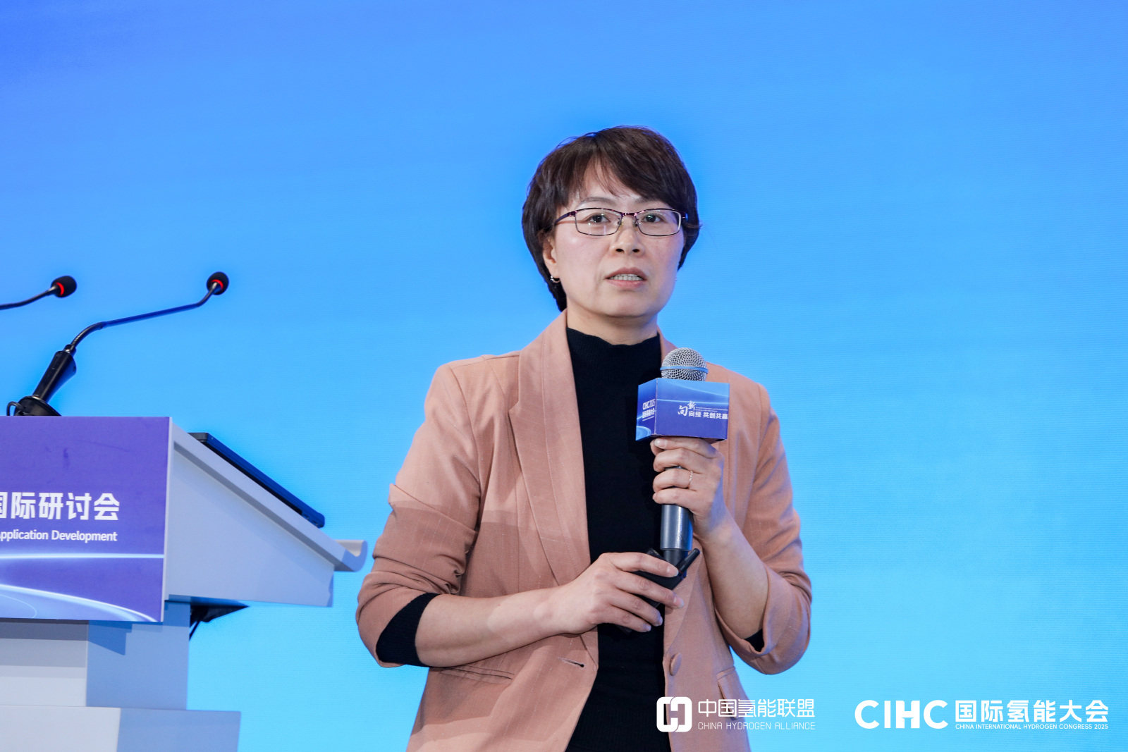 王丽丽  金风科技股份有限公司主任工程师